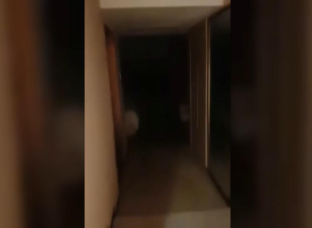 DƬ